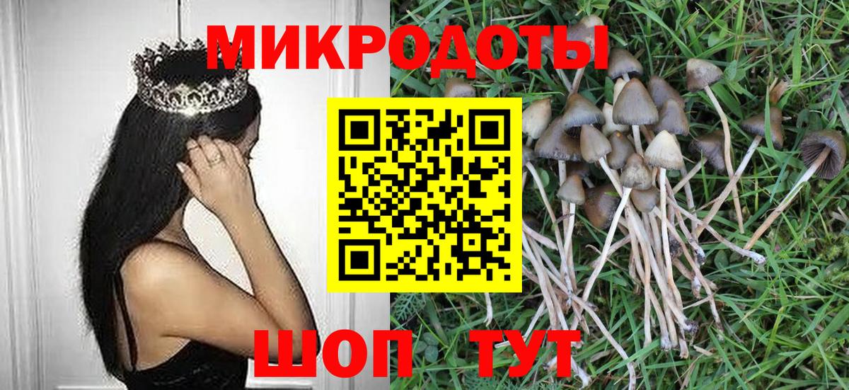 Псилоцибиновые грибы Cubensis  Вход с VPN  Мичуринск  Псилоцибиновые грибы GOLDEN TEACHER 