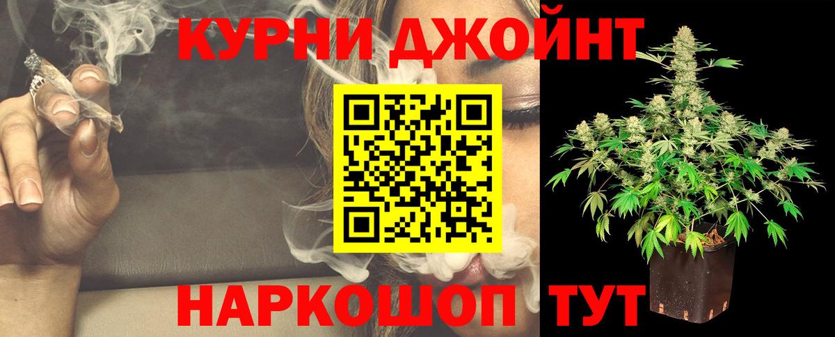Каннабис сатива  Вход с VPN  Марихуана сатива  Мичуринск  Шишки марихуана сатива  Шишки марихуана семена 
